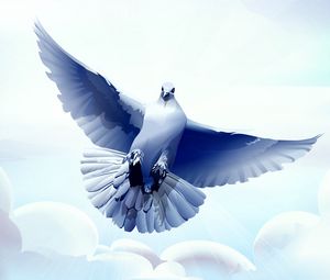 Preview wallpaper dove, bird, flying, vector