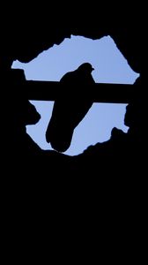 Preview wallpaper dove, bird, silhouette, dark
