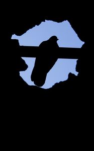 Preview wallpaper dove, bird, silhouette, dark