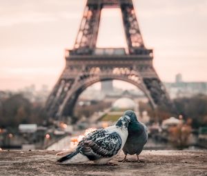 Preview wallpaper doves, couple, eiffel tower