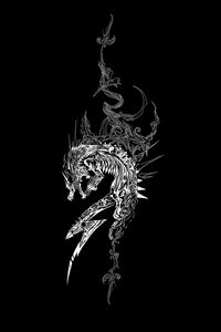 Preview wallpaper dragon, dark background, patterns