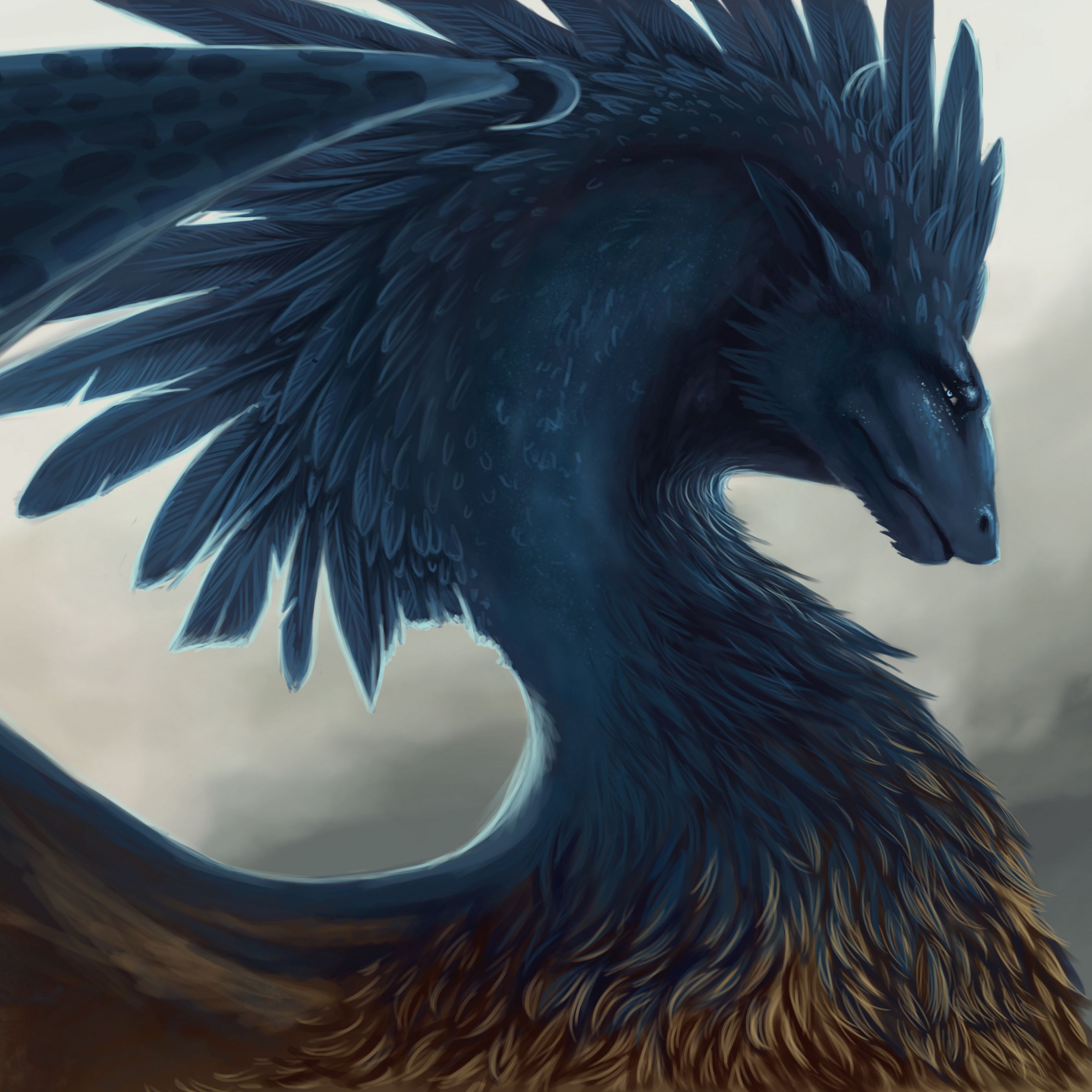2780x2780 Wallpaper dragon, fantasy, art, feathers