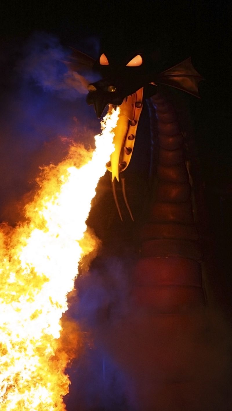 800x1420 Wallpaper dragon, fire, flame