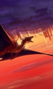 Preview wallpaper dragon, flying, sunset, clouds, sky