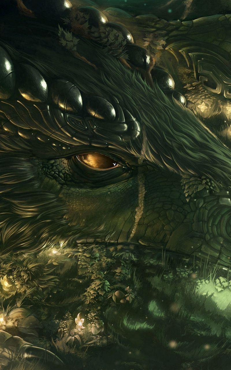 800x1280 Wallpaper dragon, girl, forest, art