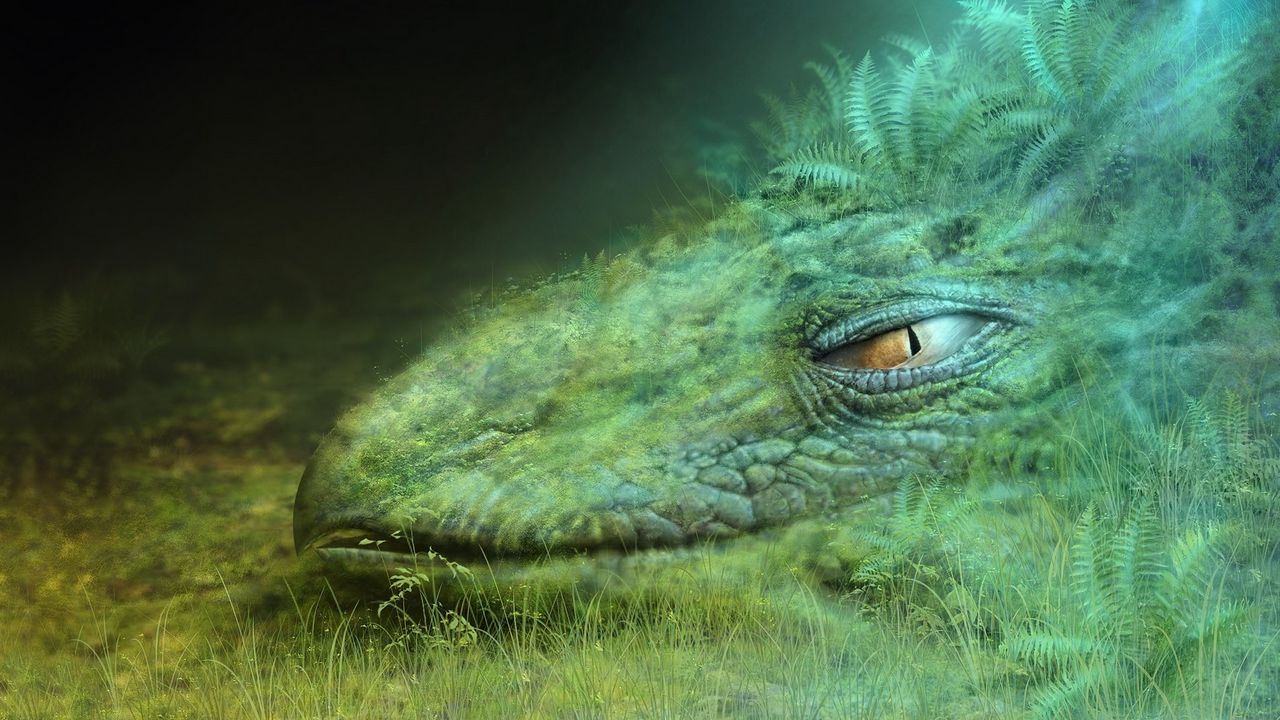 Wallpaper dragon, green, masking, head, eyelash