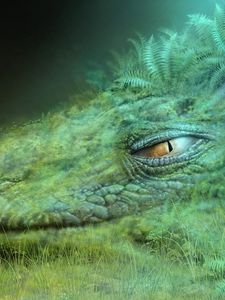 Preview wallpaper dragon, green, masking, head, eyelash