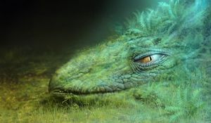 Preview wallpaper dragon, green, masking, head, eyelash