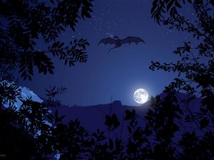 Preview wallpaper dragon, night, moon, art, fantasy