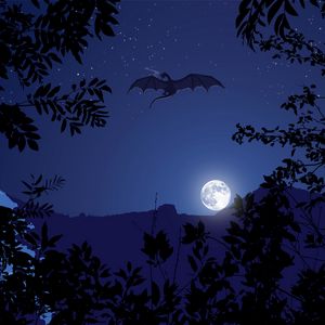 Preview wallpaper dragon, night, moon, art, fantasy