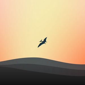 Preview wallpaper dragon, silhouette, flight, minimalism, vector, art