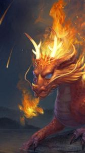 Preview wallpaper dragon, stone, water, fire