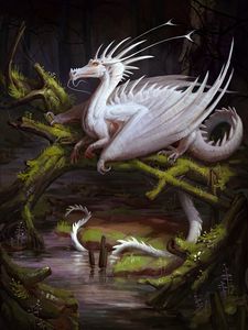 Preview wallpaper dragon, white, creature, fantasy, art