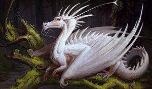 Preview wallpaper dragon, white, creature, fantasy, art