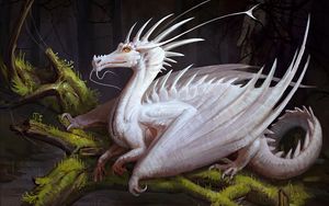 Preview wallpaper dragon, white, creature, fantasy, art