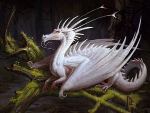 Preview wallpaper dragon, white, creature, fantasy, art