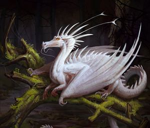 Preview wallpaper dragon, white, creature, fantasy, art