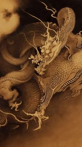 Preview wallpaper dragons, canines, battle, plexus