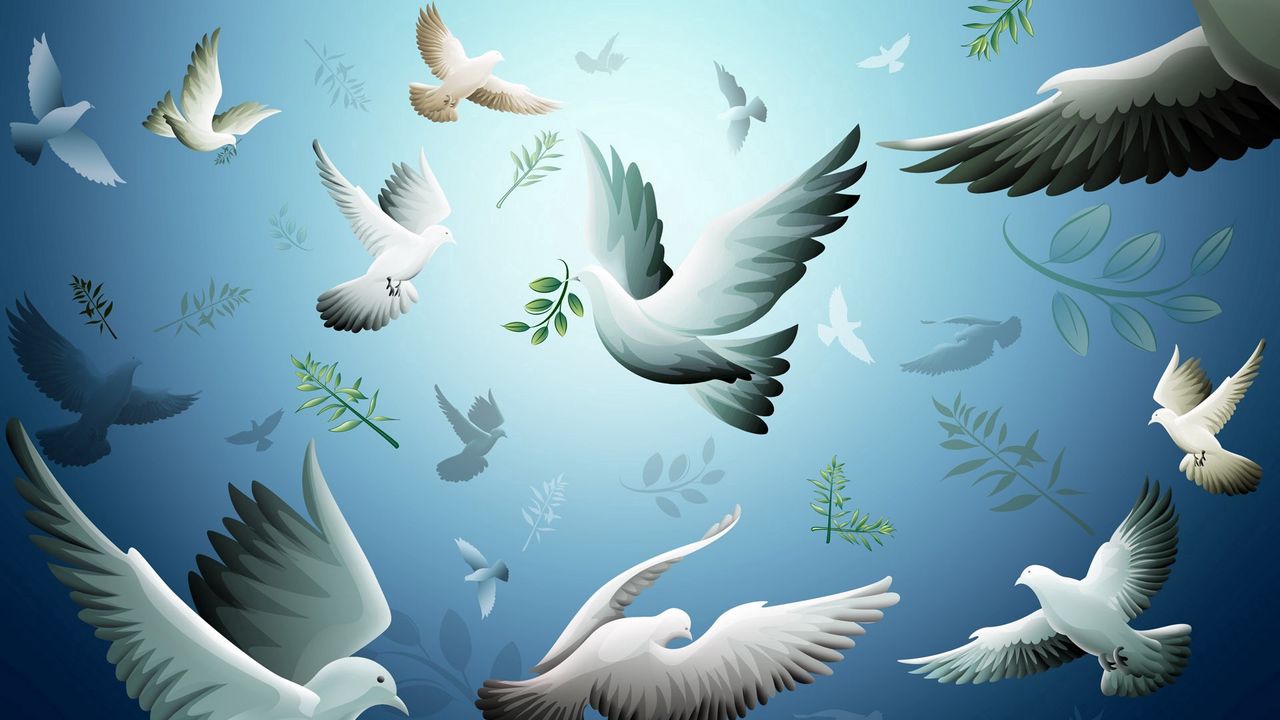 Wallpaper drawing, bird, dove, flying