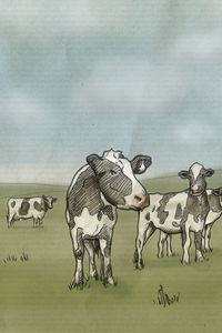 Preview wallpaper drawing, cows, milk, prairie