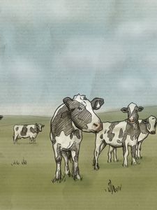 Preview wallpaper drawing, cows, milk, prairie