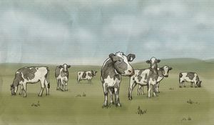 Preview wallpaper drawing, cows, milk, prairie