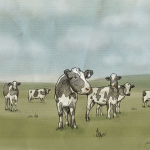 Preview wallpaper drawing, cows, milk, prairie