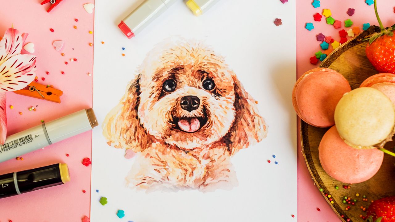 Wallpaper drawing, dog, confetti
