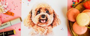 Preview wallpaper drawing, dog, confetti