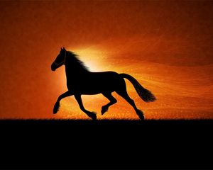 Preview wallpaper drawing, horse, night, shadow