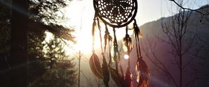 Preview wallpaper dreamcatcher, branches, sunlight