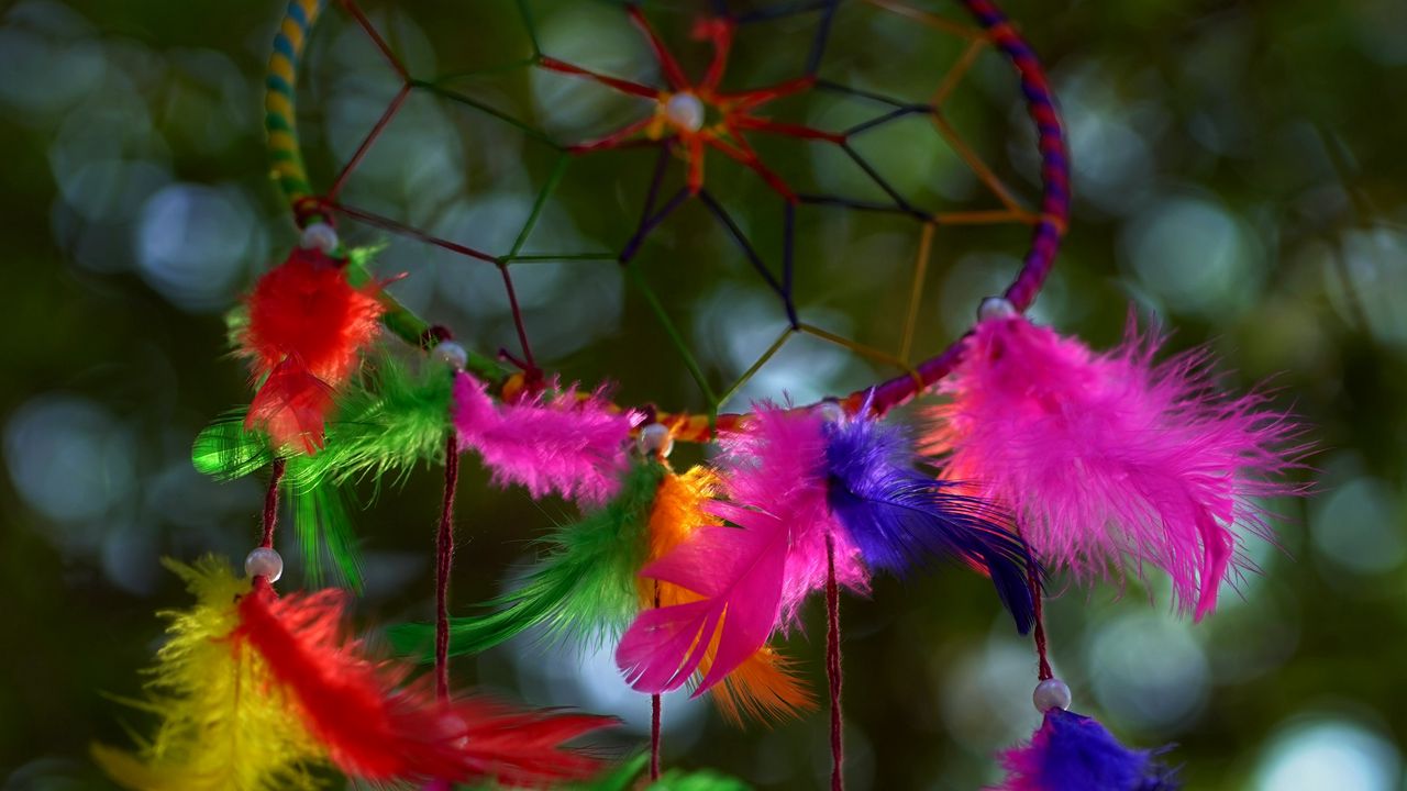Wallpaper dreamcatcher, mascot, colorful, feathers