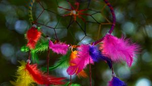 Preview wallpaper dreamcatcher, mascot, colorful, feathers