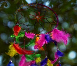 Preview wallpaper dreamcatcher, mascot, colorful, feathers