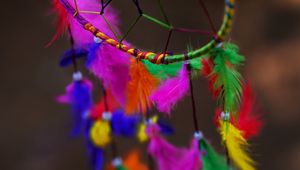 Preview wallpaper dreamcatcher, multi-color, feathers, bright