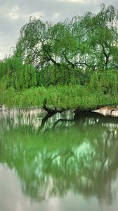 Preview wallpaper dresden, park, lake, trees, spring