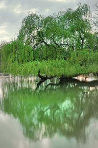 Preview wallpaper dresden, park, lake, trees, spring