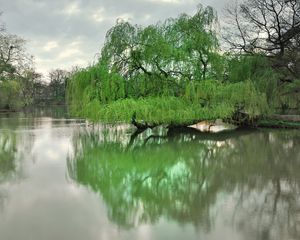 Preview wallpaper dresden, park, lake, trees, spring