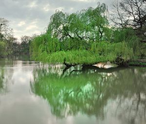 Preview wallpaper dresden, park, lake, trees, spring