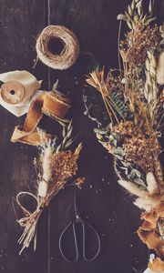 Preview wallpaper dried flowers, scissors, denta, aesthetics