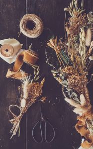 Preview wallpaper dried flowers, scissors, denta, aesthetics