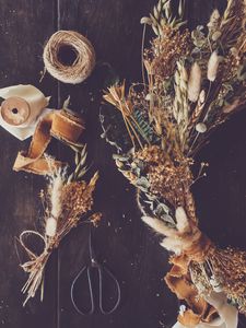 Preview wallpaper dried flowers, scissors, denta, aesthetics