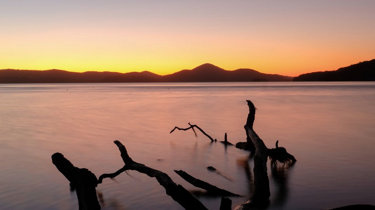 Wallpaper driftwood, sea, sunset, horizon, sky