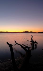 Preview wallpaper driftwood, sea, sunset, horizon, sky