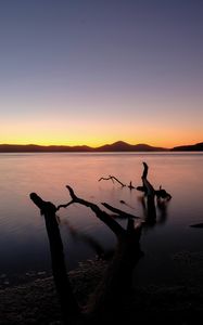 Preview wallpaper driftwood, sea, sunset, horizon, sky