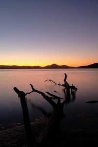 Preview wallpaper driftwood, sea, sunset, horizon, sky