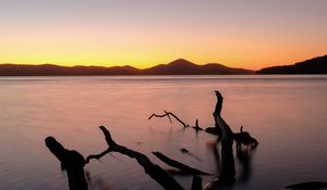 Preview wallpaper driftwood, sea, sunset, horizon, sky