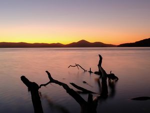 Preview wallpaper driftwood, sea, sunset, horizon, sky