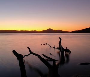 Preview wallpaper driftwood, sea, sunset, horizon, sky