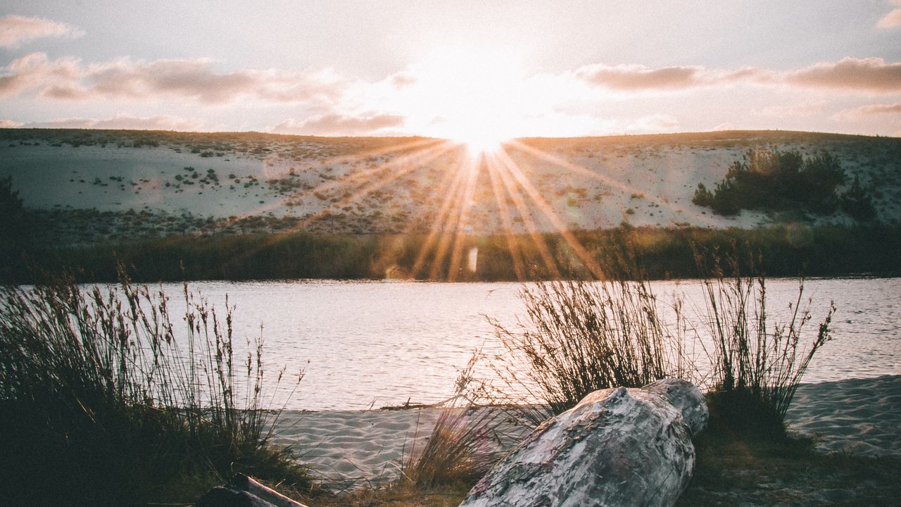 Wallpaper driftwood, sun, rays, lake, horizon hd, picture, image